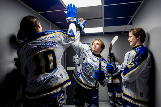 Leksands Arvid Eljas