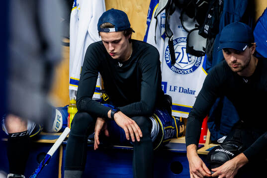 Leksands Anton Johansson