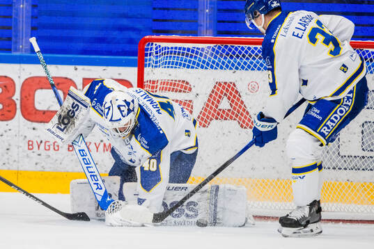 Leksands målvakt Mantas Armalis