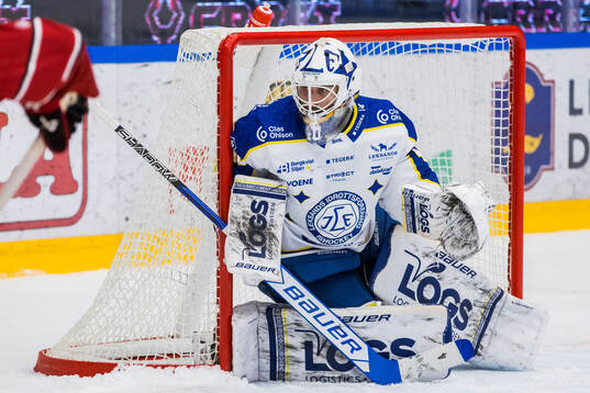 Leksands målvakt Mantas Armalis