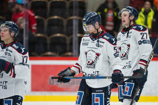 Linköpings Adam Hofbauer deppar
