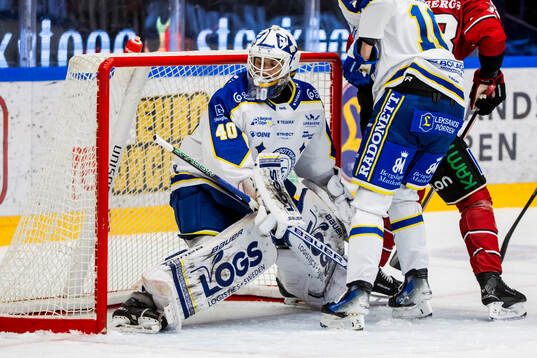 Leksands målvakt Mantas Armalis