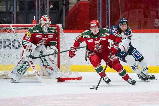 Modos Theodor Niederbach och Linköpings Robin Kovacs