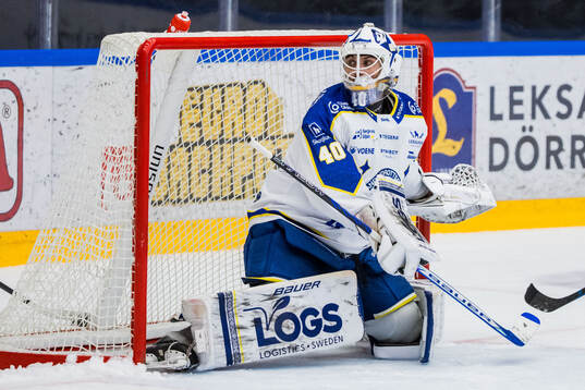 Leksands målvakt Mantas Armalis
