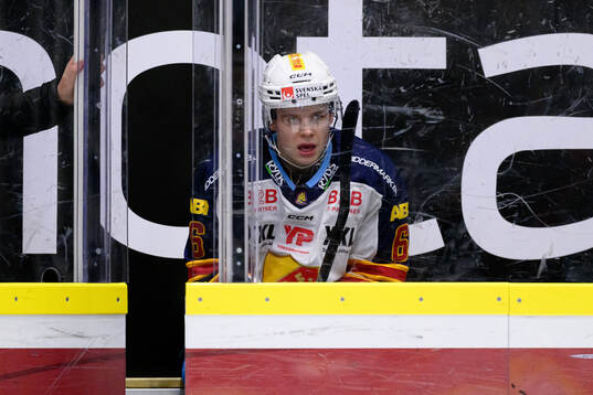 Djurgårdens Mattias Hävelid deppar