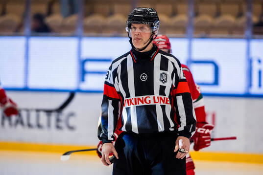 Domare Mikael Nord