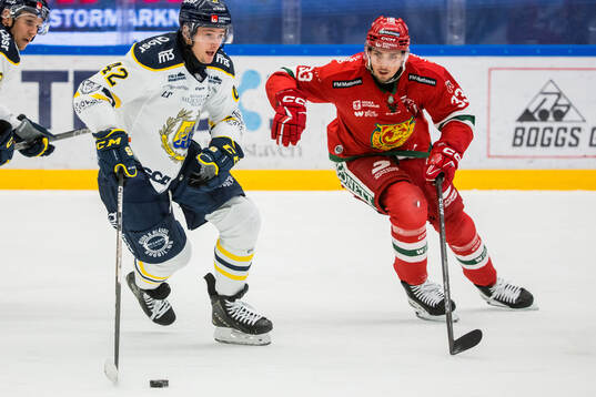 Södertäljes Ludvig Hedström och Moras William Pethrus