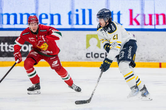 Södertäljes Nolan Stevens