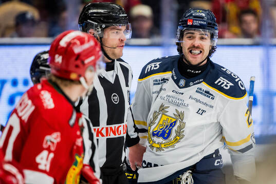 Södertäljes Nolan Stevens