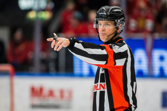 Domare Mikael Nord