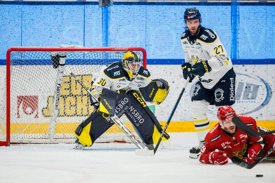 Södertäljes målvakt Charlie Rotting och Daniel Norbe