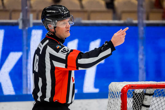 Domare Mikael Nord