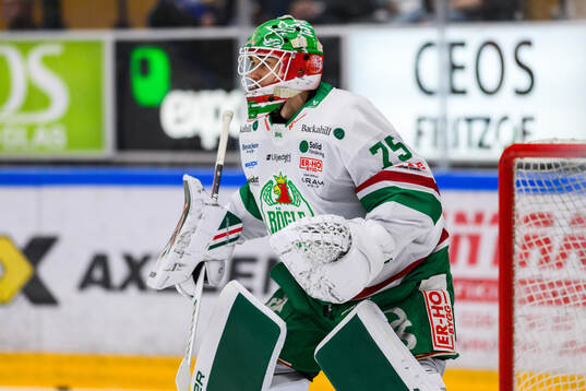 Rögles målvakt Arvid Holm