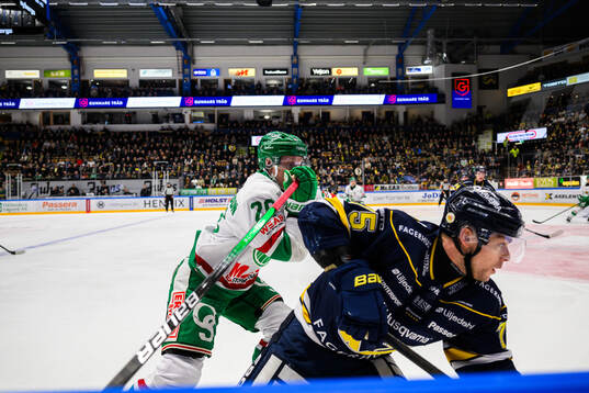 Rögles Anton Bengtsson och HV71s Radan Lenc