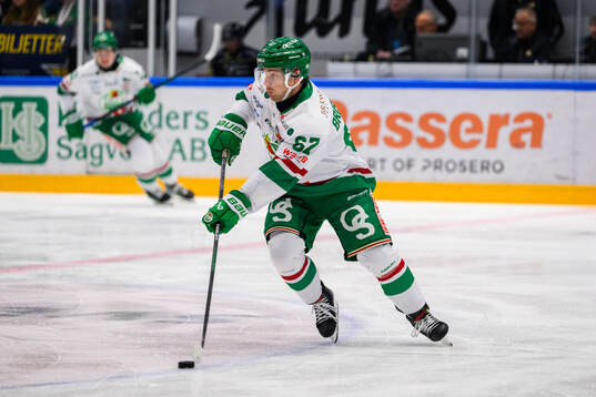 Rögles Leon Bristedt