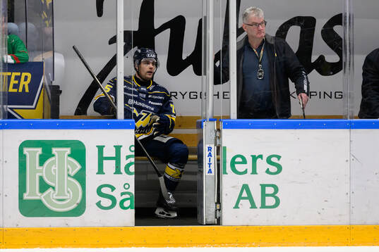 HV71s Radan Lenc deppar