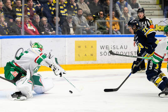 Rögles målvakt Arvid Holm och HV71s William Ignberg