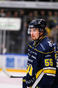 HV71s Mikael Seppälä deppar