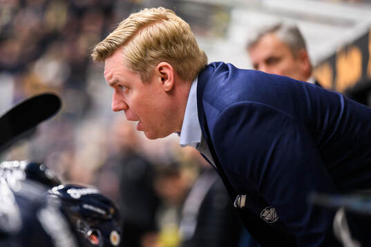 HV71s tränare Anton Blomqvist