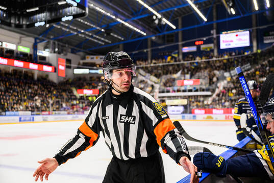 Domare Mikael Sjöqvist