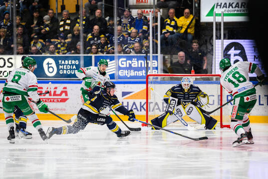 HV71s Victor Sjöholm och