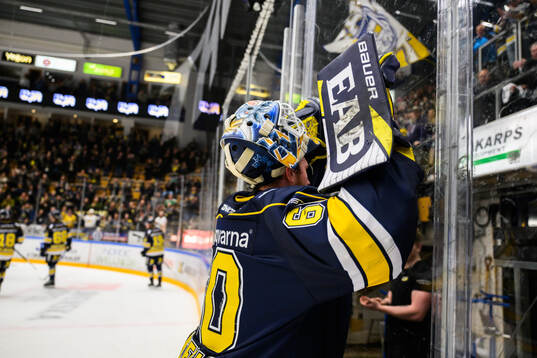 HV71s målvakt Hugo Alnefelt  jublar
