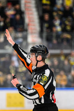 Domare Filip Eriksson