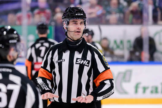Domare Richard Magnusson