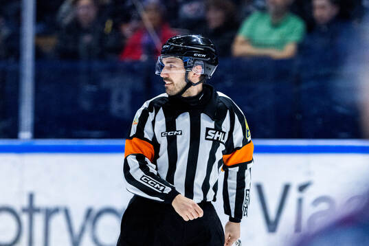 Domare Mattias Enroth
