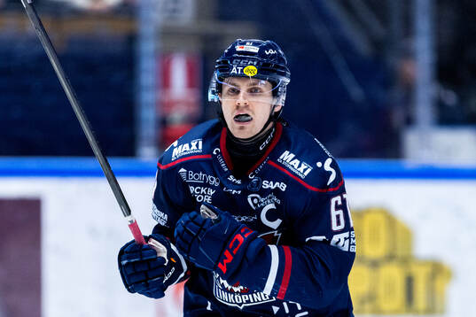 Linköpings Markus Ljungh