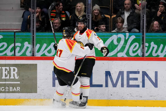 Brynäs målvakt Ludvig Persson och Tyler Vesel jublar