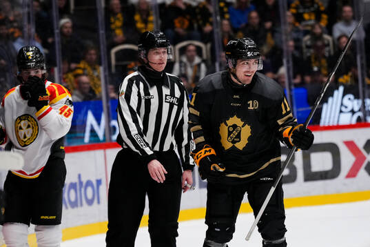 Brynäs Charles-Édouard D'astous och Skellefteås Max
