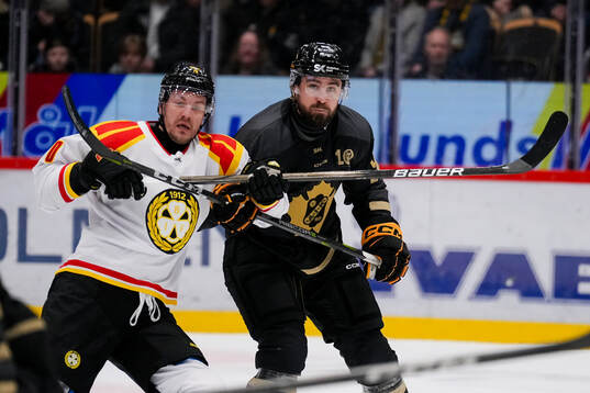 Brynäs Michal Svrcek och Skellefteås Luke Witkowski