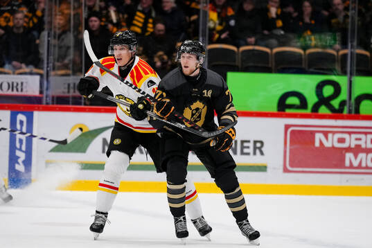 Brynäs Oskar Lindblom och Skellefteås Jonathan Davidsson
