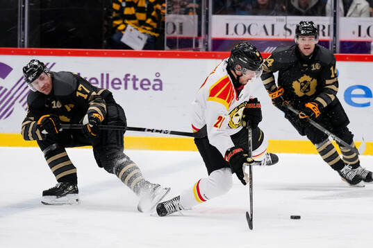 Skellefteås Pär Lindholm och Brynäs Tyler Vesel