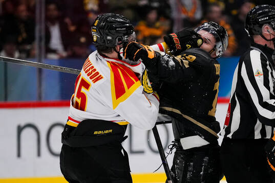 Brynäs Simon Bertilsson och Skellefteås Martins Dzierkals
