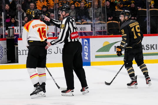 Brynäs Simon Bertilsson och Skellefteås Martins Dzierkals