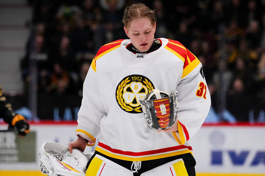 Brynäs målvakt Ludvig Persson