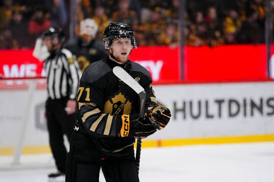 Skellefteås Jonathan Davidsson deppar