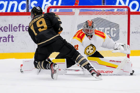 Skellefteås Martins Dzierkals och Brynäs målvakt Ludvig