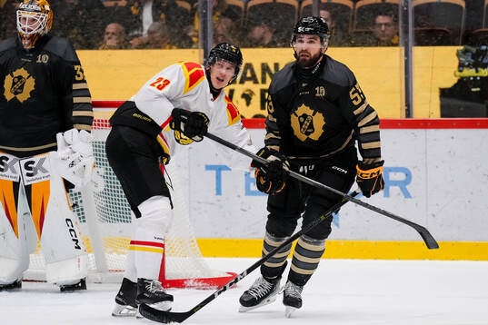 Brynäs Oskar Lindblom och Skellefteås Luke Witkowski