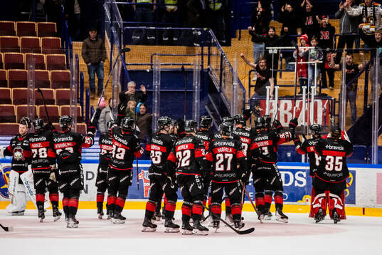 Malmö Redhawks spelarna jublar