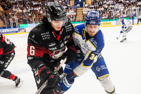 Malmö Redhawks Dominik Badinka och Leksands Peter Cehlarik