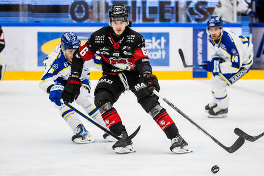 Malmö Redhawks Dominik Badinka