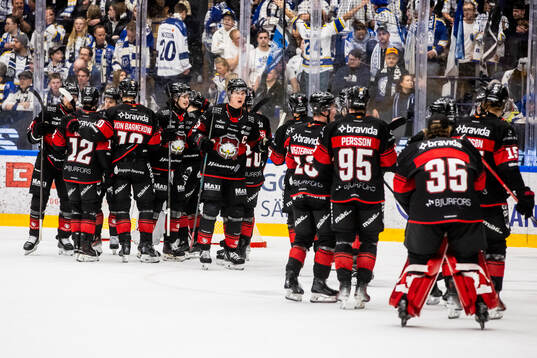 Malmö Redhawks spelarna jublar