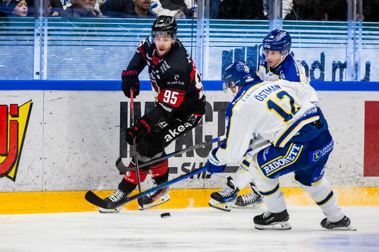 Malmö Redhawks Carl Persson