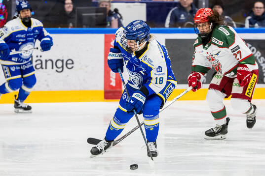 Leksands Saga Tynell-Nissas