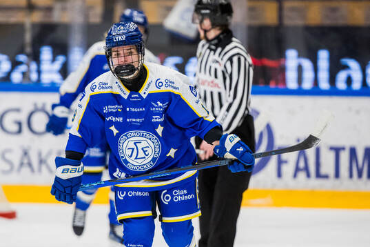 Leksands Saga Tynell-Nissas deppar
