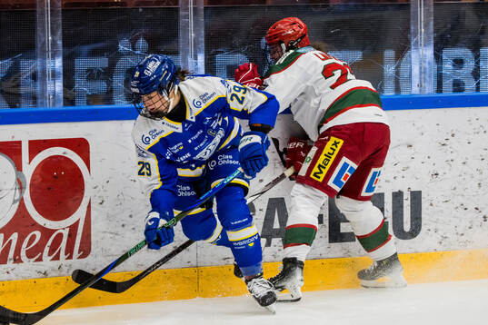Leksands Courtney Vorster och Modos Darcie Lappan