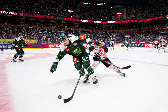 David Tomasek of Färjestad and Jani Lajunen of Sparta